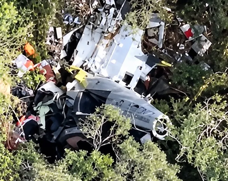 Destroços do helicóptero que levava Rick e outros 3 - reprodução FAB