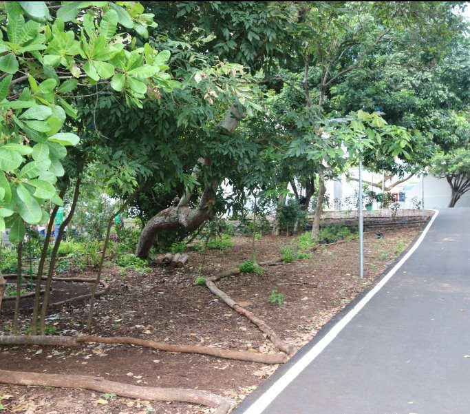 1ª edição da Feira da Agricultura Familiar acontece neste sábado no Bosque das Mangueiras