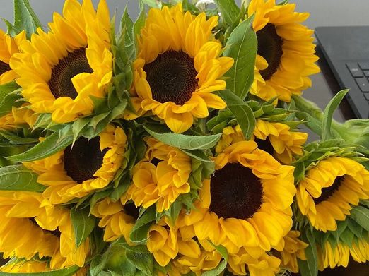 MPRN reúne mulheres vítimas de violência doméstica e familiar no 3° Encontro do Protocolo Girassol