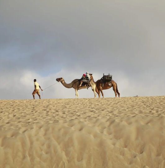 Perdeu o Turismo do RN: Após 26 anos, passeio de dromedários em Genipabu é encerrado