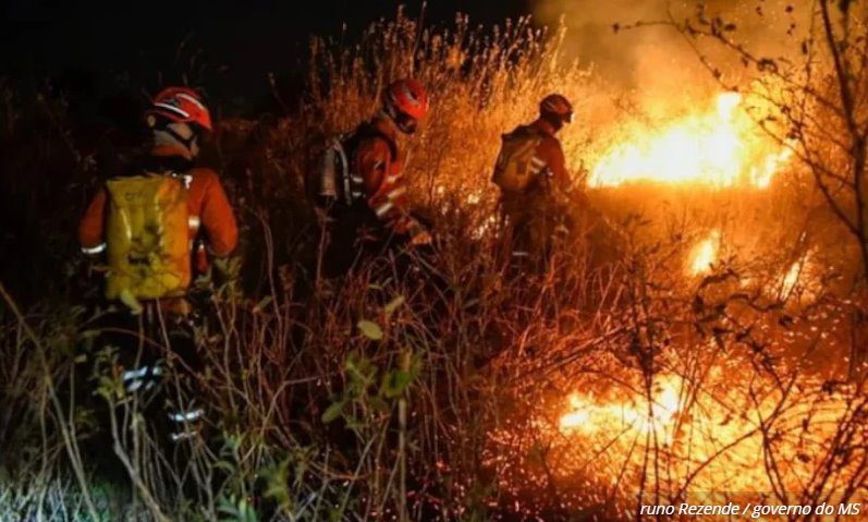Pantanal em chamas e sem controle: Bioma registra 1 incêndio a cada 15 minutos em junho