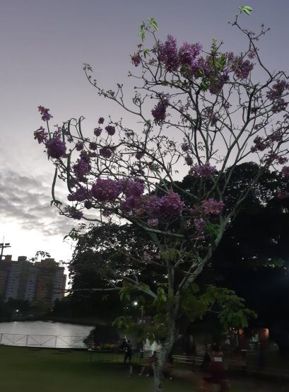 Previsão do tempo em Natal nesta terça-feira (2)