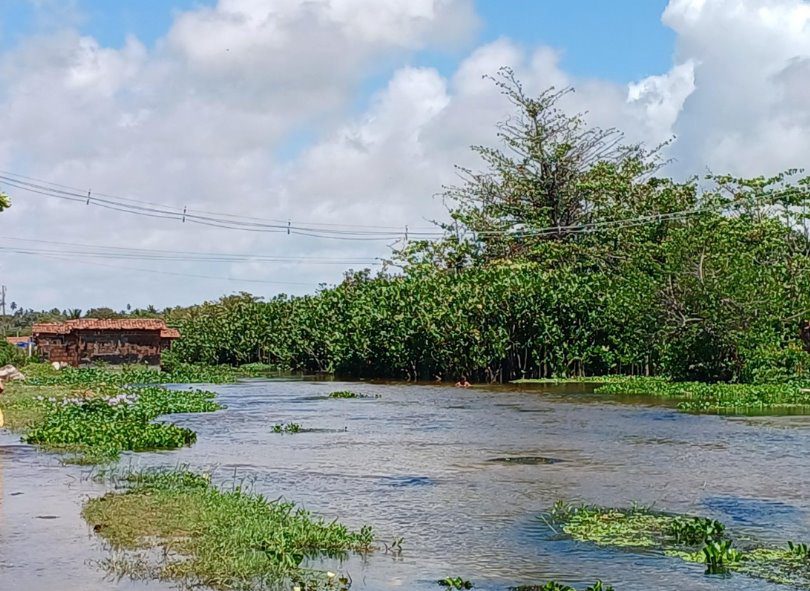 Justiça determina que Prefeitura de Natal tome medidas para proteger o Rio Doce