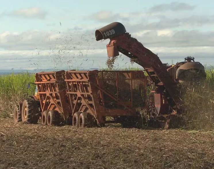 Tarifaço de Trump pode impactar indústria pernambucana de cana-de-açúcar, uvas e aço
