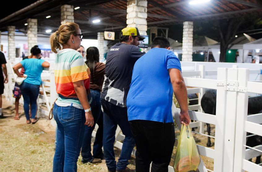 25ª Festa do Bode acontece em Mossoró com programação cultural, primeiros torneios e minicursos