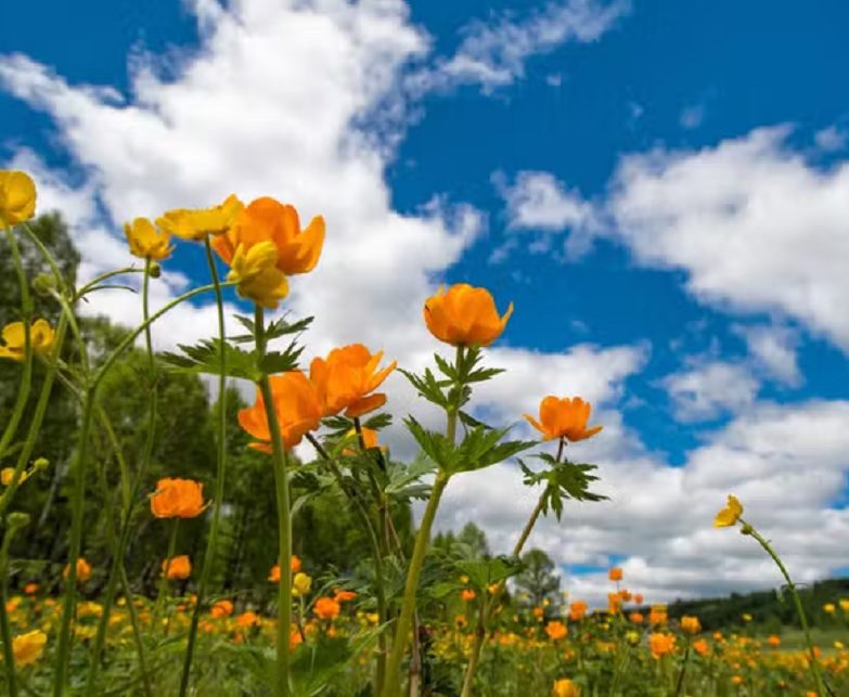 Estação começa nesta segunda-feira (22): veja como ficará o tempo no Nordeste com a chegada da primavera