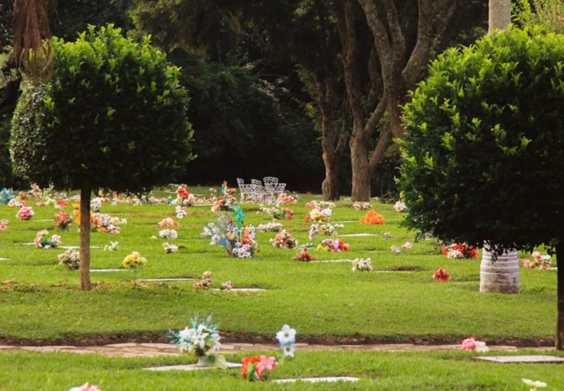 Artigo: Dia de Finados, especialista desvenda mitos e curiosidades sobre o setor e a relação dos brasileiros com a morte