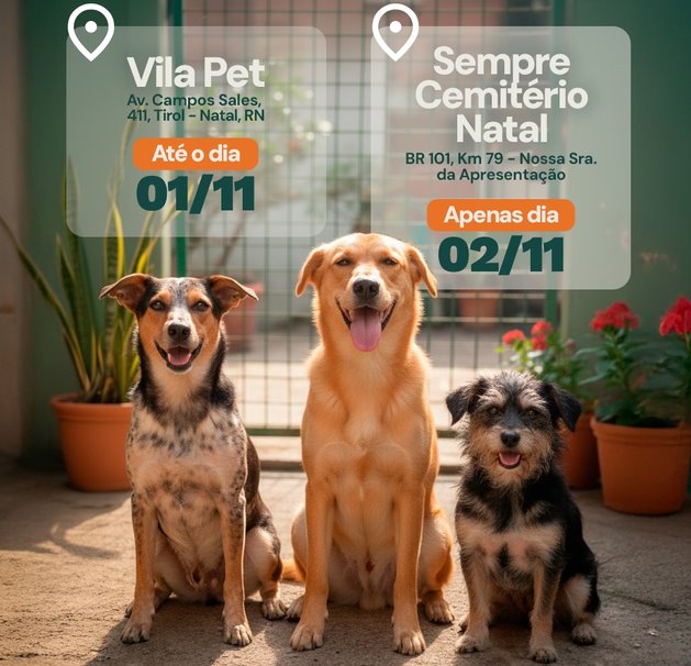 Feira de adoção de pets marca Dia de Finados em cemitério de Natal