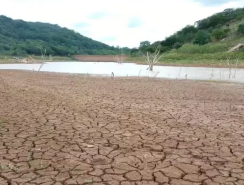 Nordeste tem 22 cidades em situação de emergência pela seca e estiagem
